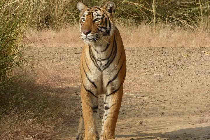 Ranthambore National Park - Photo 1 of 7