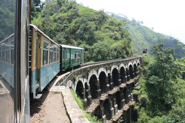 Romantic tour in Shimla - Photo 1 of 3