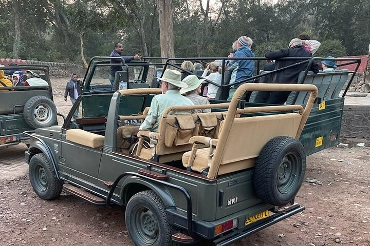 Round Trip Transfers to Ranthambore Fort Ganesh Temple in a Gypsy - Photo 1 of 6