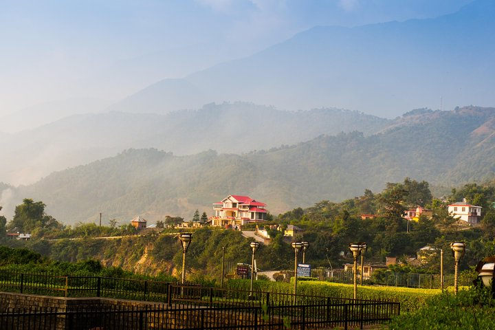 Shimla Nature Walk (3 Hours Guided Trekking Experience) - Photo 1 of 10