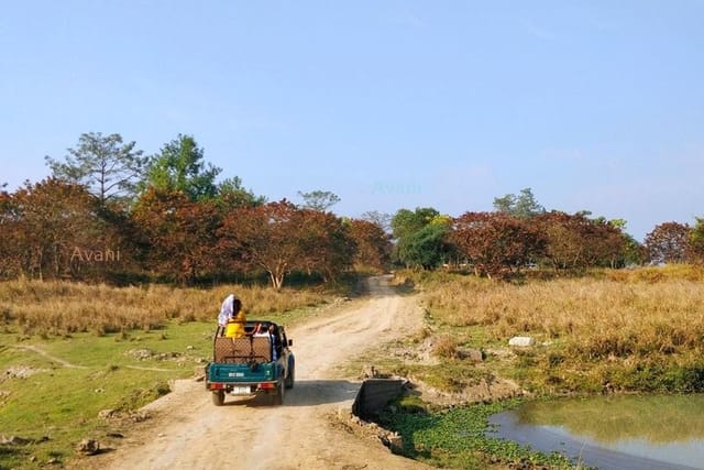 Tour of Pobitora Wildlife Sanctuary from Guwahati with Safari, Lunch and Guide - Photo 1 of 6