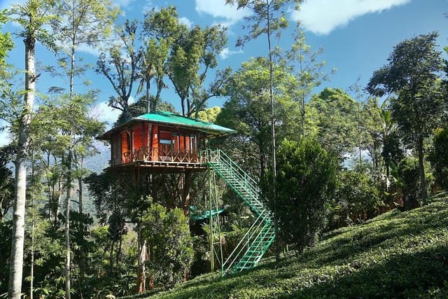 treehouse-stay-in-munnar_1