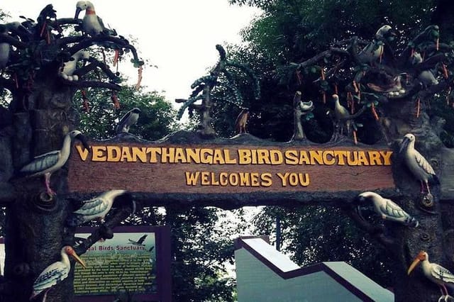 visit-to-vedanthangal-bird-sanctuary-from-chennai_1