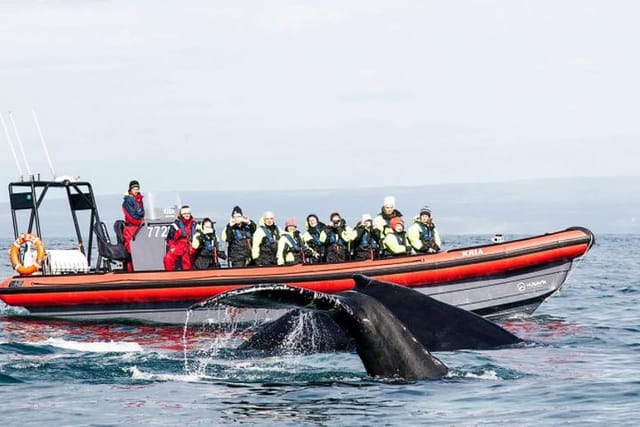 Husavik Whale Capital of Iceland