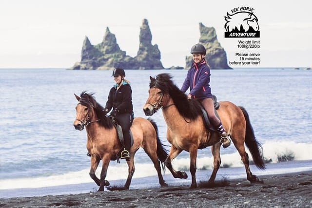 Black Sand Beach Horse Riding Tour from Vik - Photo 1 of 8