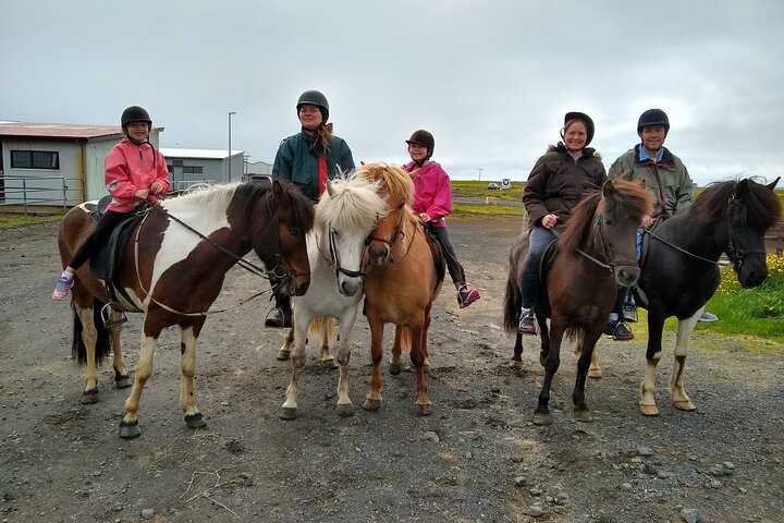 Experience Countryside of Iceland by Horseback Riding - Photo 1 of 5