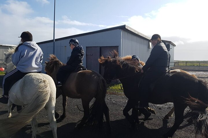 Family Horse Riding Tour in Thorlakshofn - Photo 1 of 7