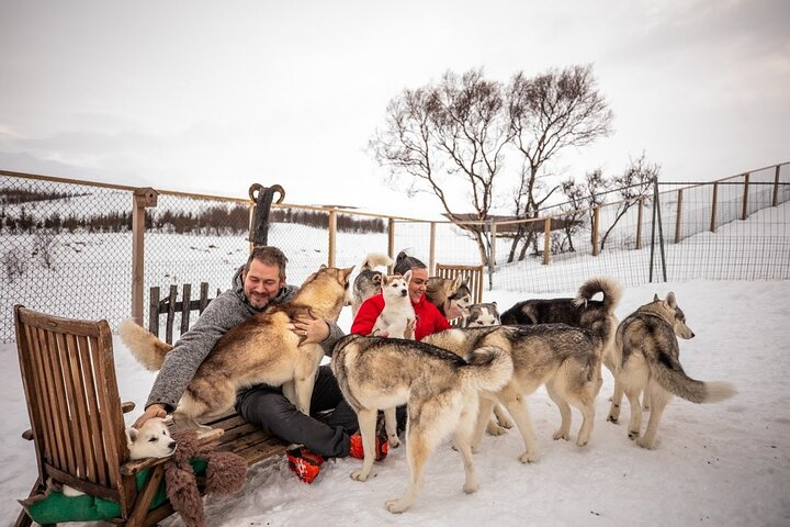 Husky Petting in Akureyri (private) - Photo 1 of 17