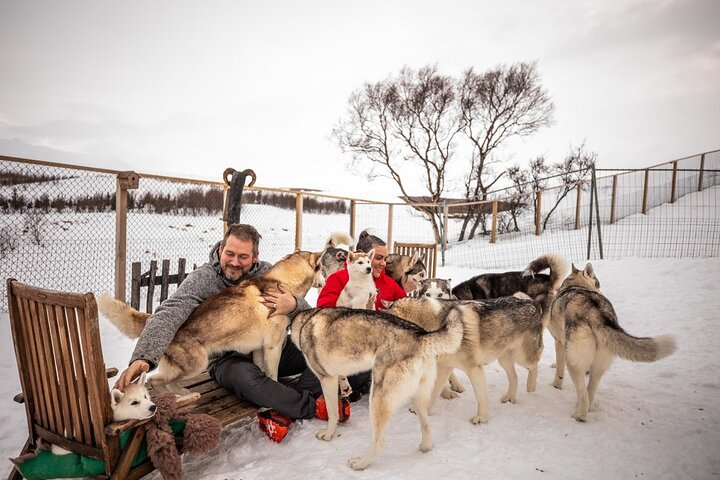 Husky Petting, in Akureyri - Photo 1 of 2