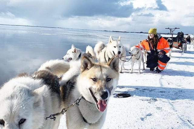 Photo break, on snow