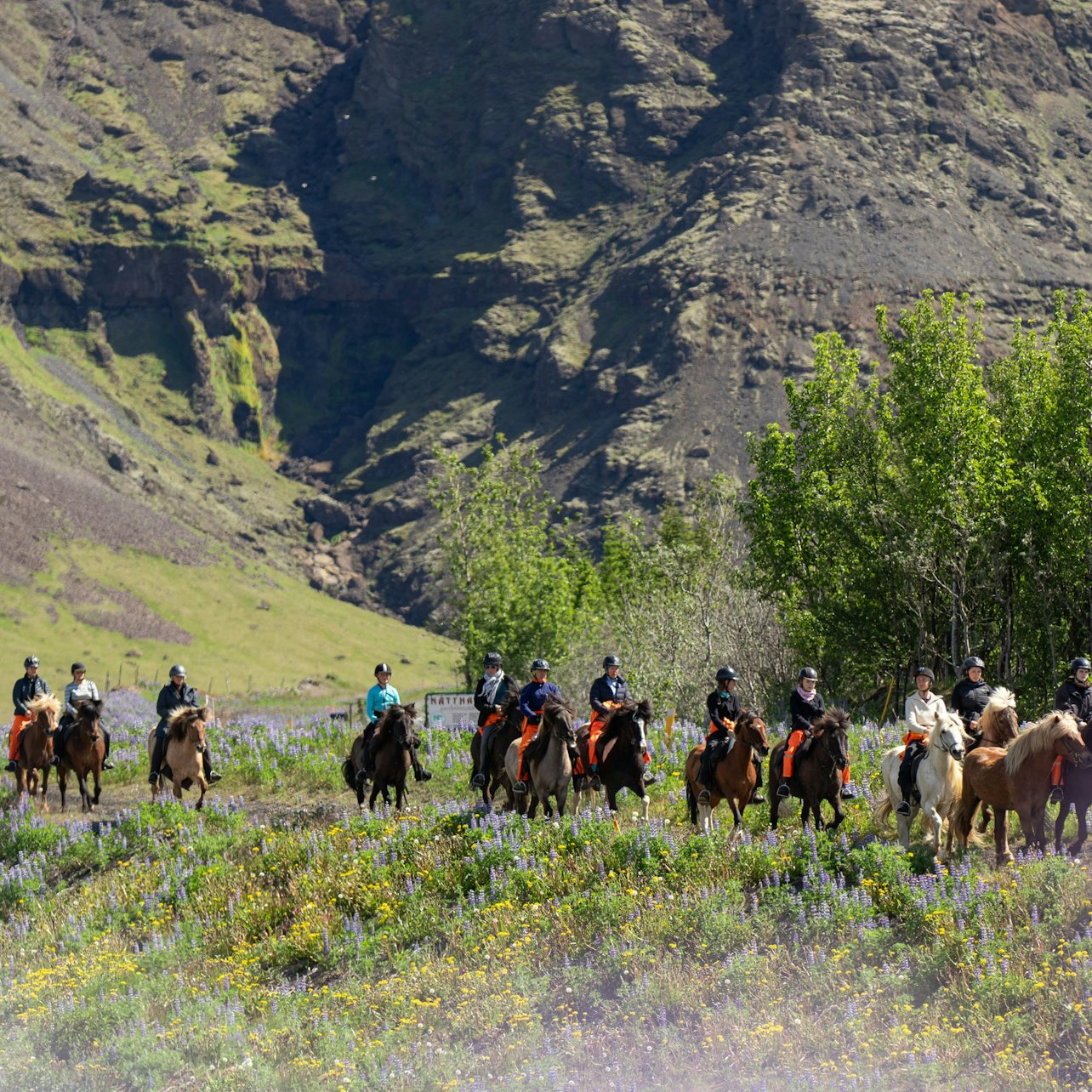 Iceland: Horseback Riding - Mountains & Meadows Tour - Photo 1 of 3