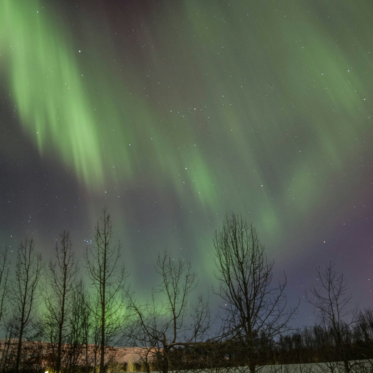 Northern Lights Tour from Akureyri - Photo 1 of 3