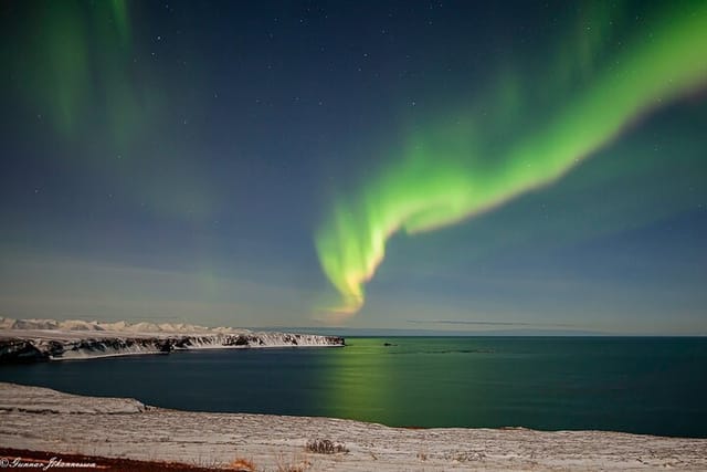 northern-lights-tour-from-husavik_1