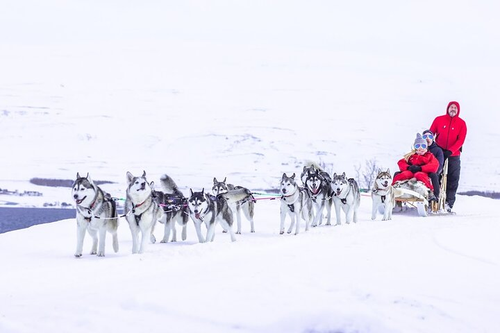 Private dogsledding in Akureyri - Photo 1 of 18