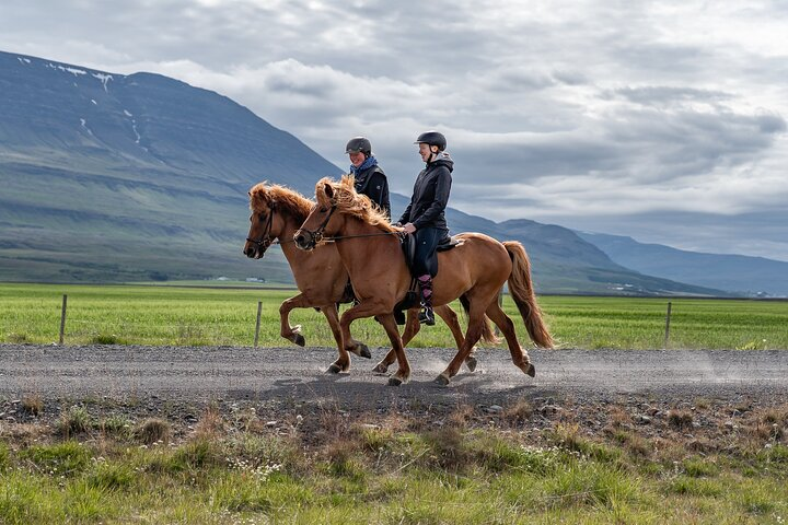 Private Riding Lesson in the North of Iceland - Photo 1 of 3