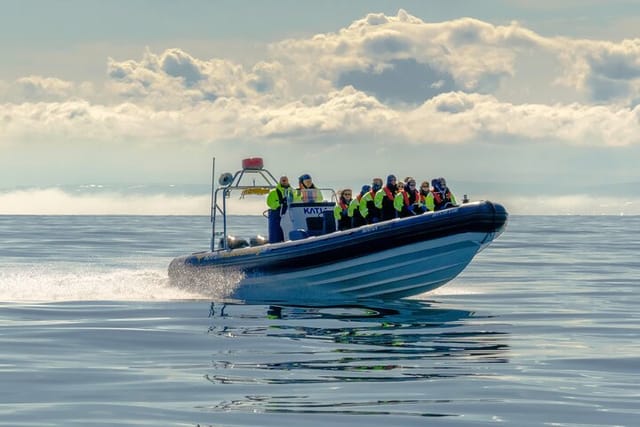 Puffin Watching Speedboat Express - Photo 1 of 8