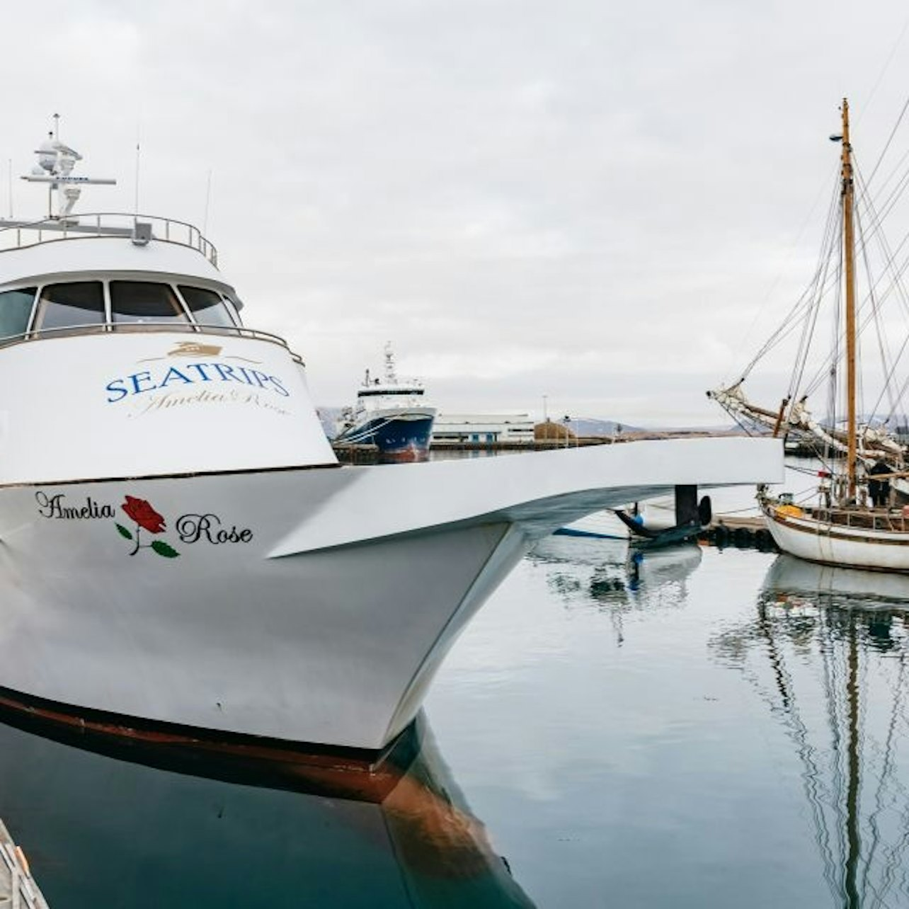 Reykjavík: Luxury Yacht Whale Watching Cruise - Photo 1 of 3