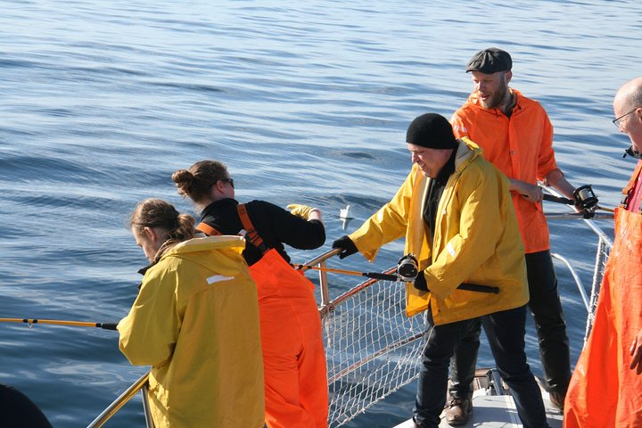 Reykjavik Sea Angling Gourmet - Photo 1 of 5