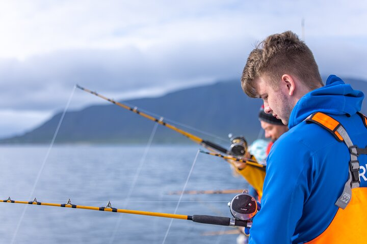 Sea Fishing Experience from Reykjavik - Photo 1 of 7