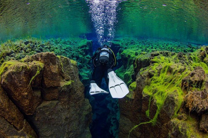 Dive between the continental plates