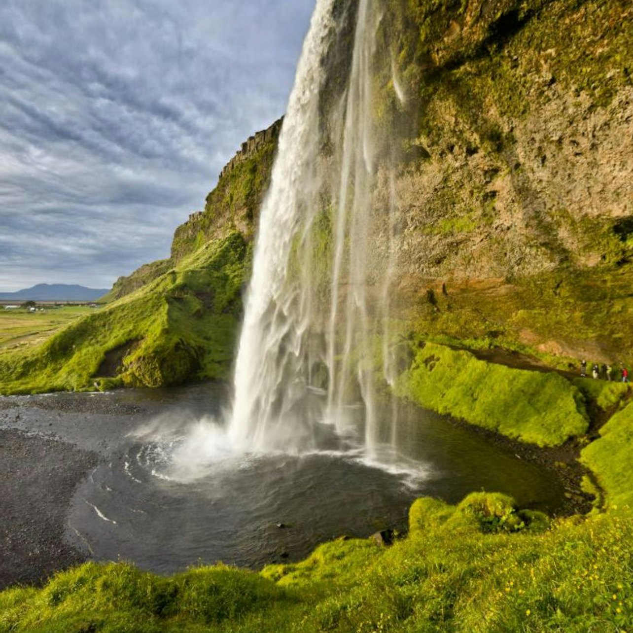 South Iceland Highlights Tour: Vik, Skógafoss Waterfall and the Black Sand Beach - Photo 1 of 3