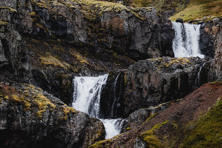 The Tiniest Town Tour in Mjoifjordur fjord - Photo 1 of 6