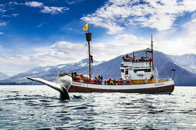 Beautiful settings for whale watching