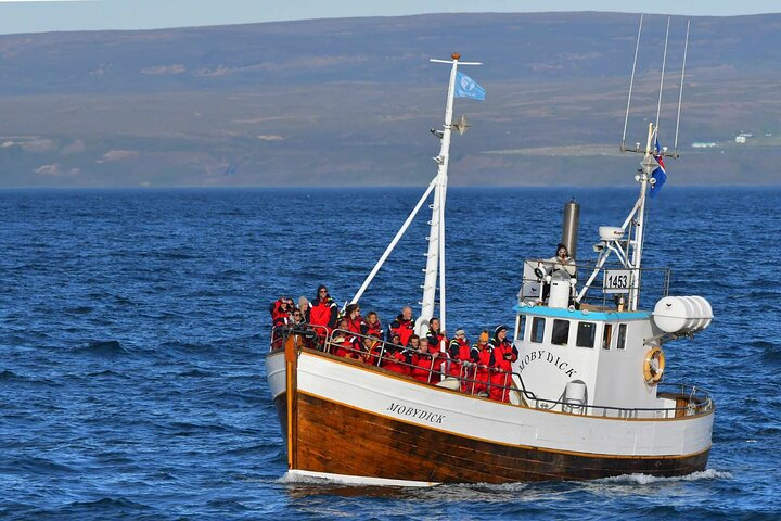 Whale Watching in Húsavík with Friends of Moby Dick - Photo 1 of 13