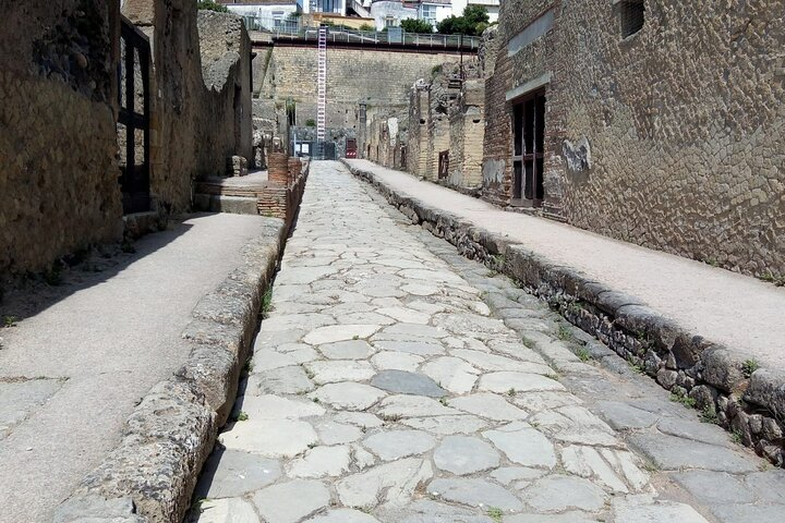 2hrs stop at Pompeii and 2hrs stop at Herculaneum  - Photo 1 of 25