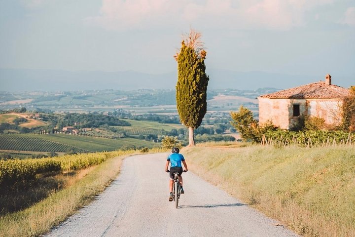 3-Hour Bike Tour and Wine in Tuscany: Nobile's Path - Photo 1 of 4