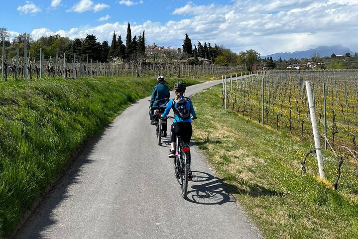 4-Hour Guided E-bike Tour of the Two Wineries in Bardolino - Photo 1 of 9