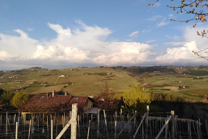 Abellonio Cascina Piccaluga - visit to the vineyards, to the wine tasting cellar - Photo 1 of 6