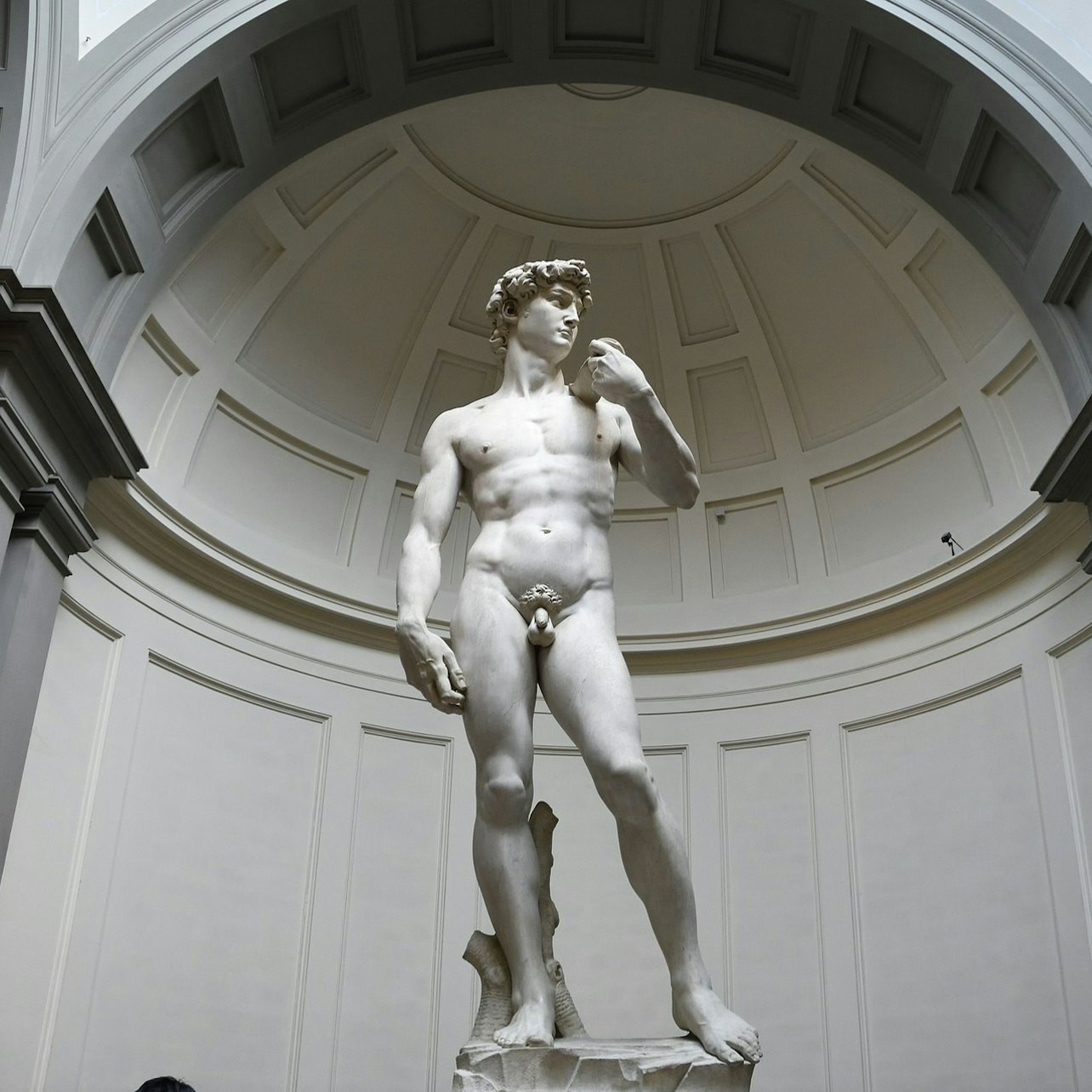 Accademia Gallery: Skip-the-Line Entrance with Host - Photo 1 of 6