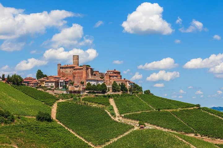 Alba Wine Tours, Private Tasting Experience around Langhe area.  - Photo 1 of 8