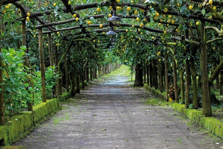 Backroads & Limoncello Experience: Sorrento E-Bike Tour - Photo 1 of 7