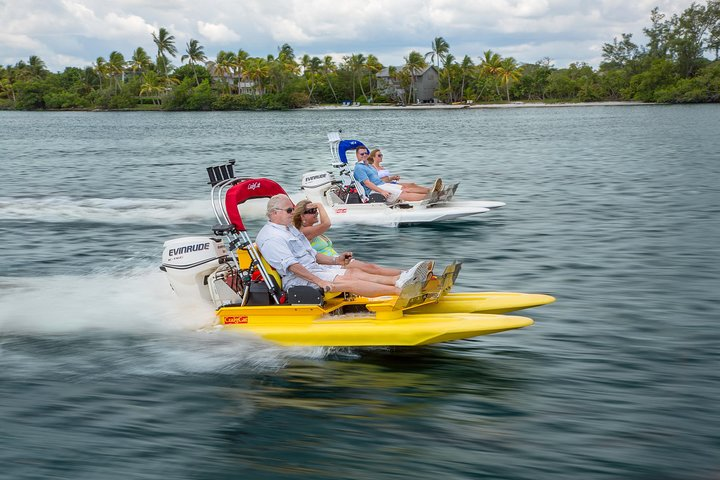 Backwater Adventure's CraigCat Tours of the 10,000 Islands - Photo 1 of 8