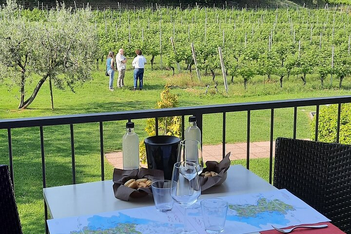 Bardolino: vineyard tour, wine, oil and food tasting - Photo 1 of 10