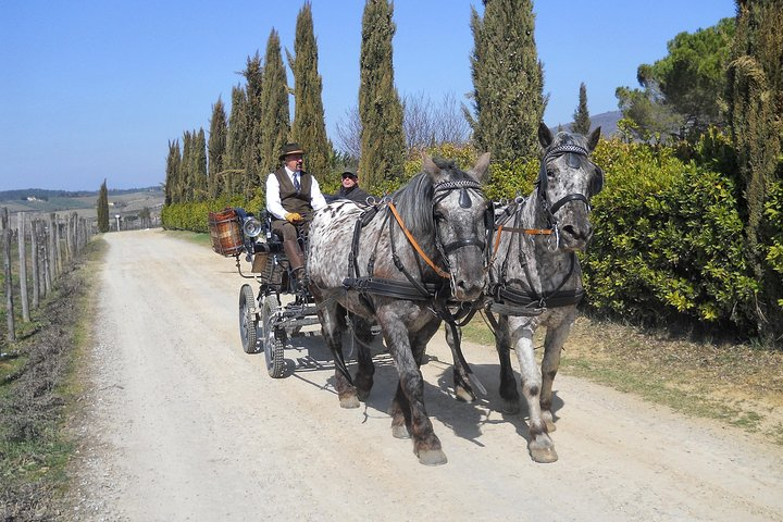 Along the dirty paths surrounding the Chianti vineyards