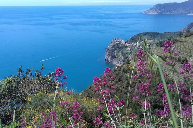 Cinque Terre unforgettable hiking experience - Photo 1 of 13