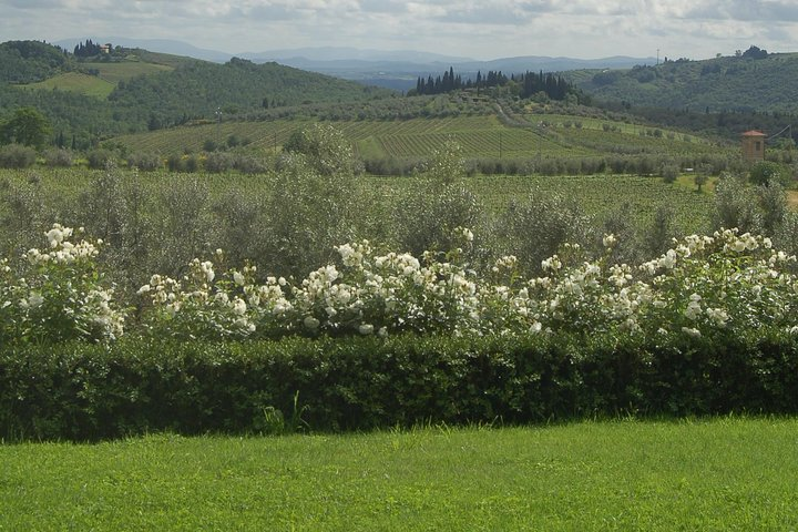 The Winery view