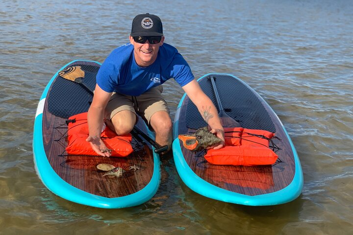 Dolphin and Manatee Tour of Marco Island by Kayak or SUP - Photo 1 of 6