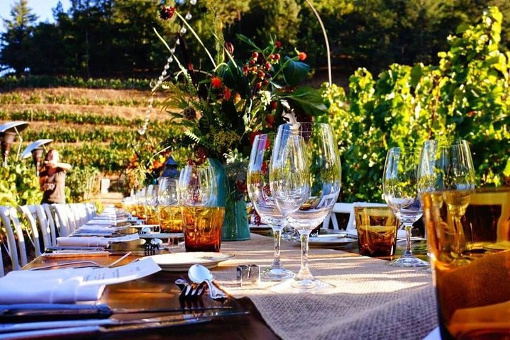 Enjoy a meal with wine tasting in the vineyard of Podere Casanova - Photo 1 of 6