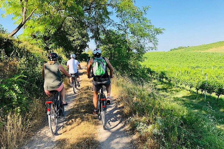 Enjoy a Wine Tasting after a cycling excursion in the magic of Tuscany  - Photo 1 of 8