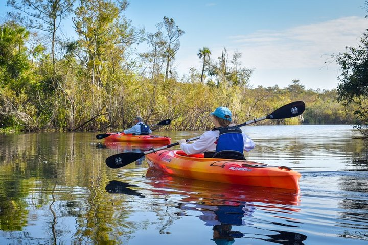 Everglades Guided Kayak Tour - Photo 1 of 6