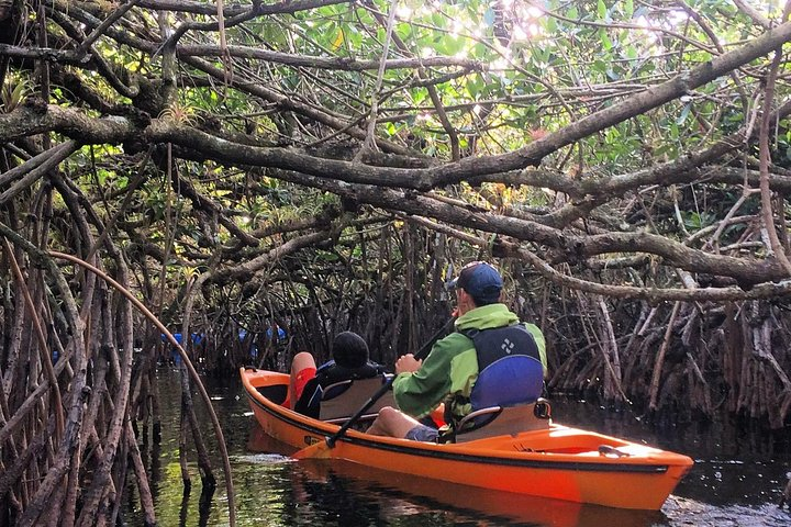 Comfortable and stable doubles. Great for families looking for an Everglades Adventure