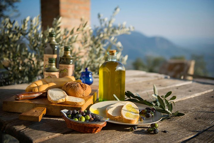 From Abano Montegrotto Olive Oil & Wine in the Euganean Hills - Photo 1 of 12