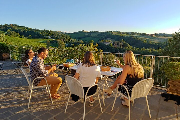 From Bologna: Wine Tasting and Vineyard Tour with the winemaker - Photo 1 of 10