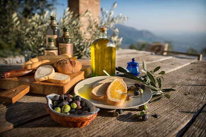 From Padua: Olive Oil & Wine in the Euganean Hills - Photo 1 of 18