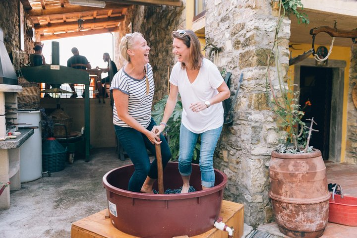 Grape stomping in Tuscan farmhouse - Photo 1 of 12