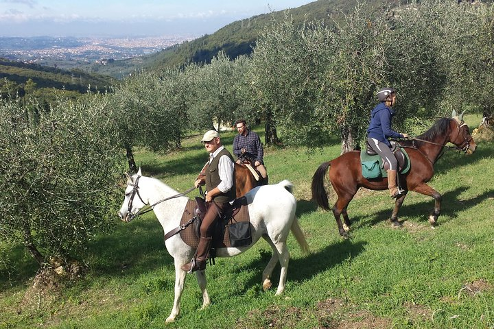 Horse ride, Olive Oil and local foods tasting in a Tuscan farm  - Photo 1 of 18